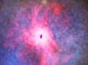 Niente stelle? Colpa buchi neri