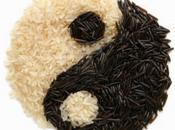 Ching Tecnica Yang, Nascita Concetto