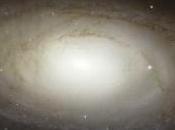 Conoscete nostra velocità