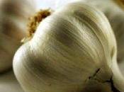 Aglio 'germogliato', migliore salute