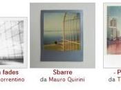 Foto della settimana