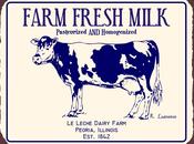 Sono mucca, sono donna tempo determinato, però)