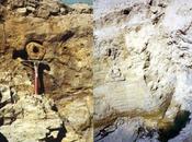 Texas: mistero dell’immensa struttura sotterranea rockwall. tracce perduta civiltà giganti?