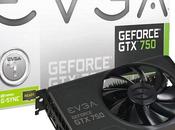 Nuove schede grafiche casa EVGA: GeForce