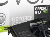 EVGA annuncia schede grafiche GeForce