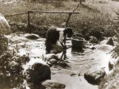 tempo l'acqua buona.