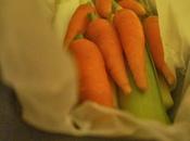 Carotine Porri Stufati nella Culla