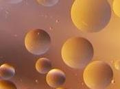 Oggi nella rubrica: essenziali, volatilità delle essenze