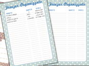 Freezer Organizzato