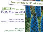 Primavera Giardino 2014_ Milis Sardegna