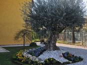 L’arriru t’aulia signuru