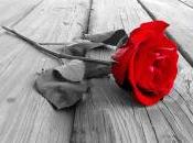 “Rosa rosae rosae” Manente Michela