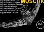 Venerdì Muschio Superpusher, sabato Stoner Kebab Ciurmas