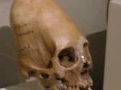 crani allungati Paracas mandano subbuglio