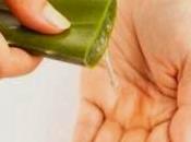 Aloe vera: venti modi usarlo meglio successo