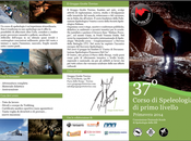 Corso Speleologia Livello Gruppo Grotte Treviso