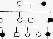 Alberi genealogici trasmissione ereditaria delle caratteristiche genetiche: ripasso