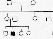 Alberi genealogici trasmissione ereditaria delle caratteristiche genetiche: ripasso