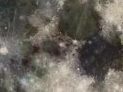 Acqua dentro Luna? detto