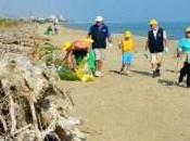 Pulisci Sentina 2014 Benedetto Tronto