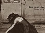 DEAD BAG, Late Song