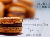 Ching Diario Bordo Lanci Risposte