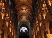 Notre Dame illumina