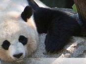 Siti comprare prodotti naturali: classifica Ecoo