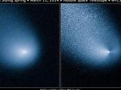 telescopio spaziale Hubble riprende cometa C/2013 (Siding Spring)