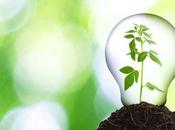 Megaris:biomasse sole produrre calore elettricità