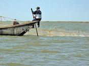 Urgenza progetti bacino Lago Ciad beneficio spera) delle popolazioni locali