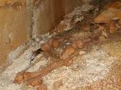 Scoperta tomba etrusca sigillata. analisi rivelano tratta principessa.