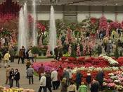Olanda scena FLORALIËN, l’expo fiori piante grande mondo