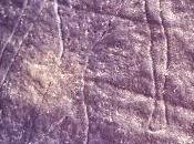 Anubi, celti Mitra nella stessa grotta Oggi rubrica