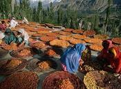 Hunza: popolo conosce malattie