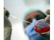 Fecondazione eterologa, divieto incostituzionale: cade tabù legge