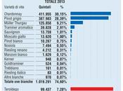 Maledetti autoctoni!