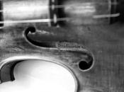 Citazioni "Doppio Stradivari"