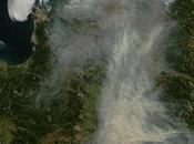 Incendio gigantesco Cile, 3000 evacuati