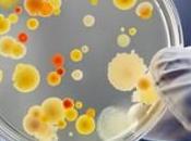 microscopio ottiche adattive