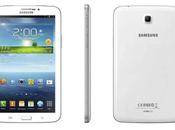 Manuale Italiano Galaxy 7.0″ Lite 3G+Wi-Fi SM-T111 Libretto Istruzioni