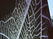 Naturaled. Lambrate s’illumina