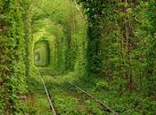Tunnel naturali passeggiata magica