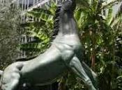 canone pagherà nella bolletta elettrica?