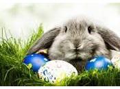 Pasqua: uova conigli