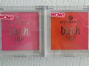 Essence: Blush Powder (Foto, Swatches, prime impressioni)