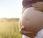 Antibiotici gravidanza, male sistema immunitario feto