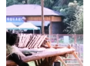 Lady panda depressa: mette guardare (video)