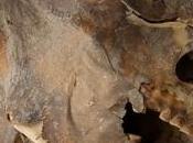 Arsenico vecchie... mummie