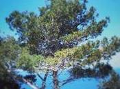 avevamo coraggio sentirci stanchi